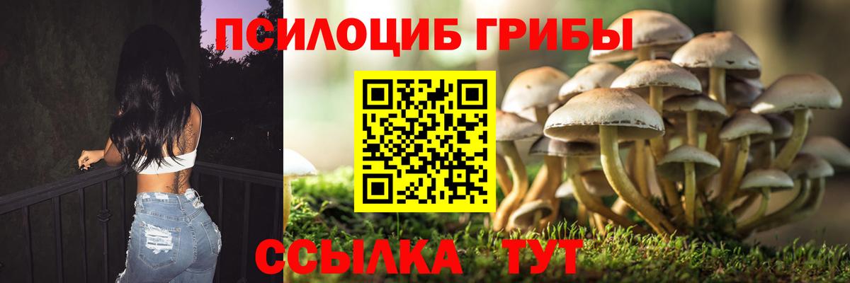 Кубинка  Галлюциногенные грибы прущие грибы  Вход с VPN 